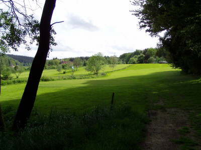 Golfanlage Weiherhof Grüns
